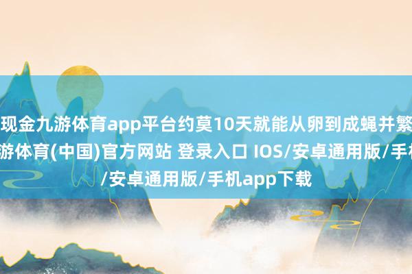 现金九游体育app平台约莫10天就能从卵到成蝇并繁衍后代-九游体育(中国)官方网站 登录入口 IOS/安卓通用版/手机app下载