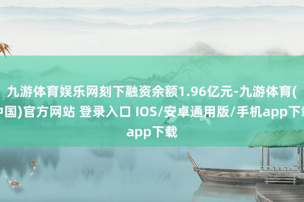 九游体育娱乐网刻下融资余额1.96亿元-九游体育(中国)官方网站 登录入口 IOS/安卓通用版/手机app下载