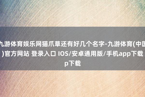 九游体育娱乐网猫爪草还有好几个名字-九游体育(中国)官方网站 登录入口 IOS/安卓通用版/手机app下载