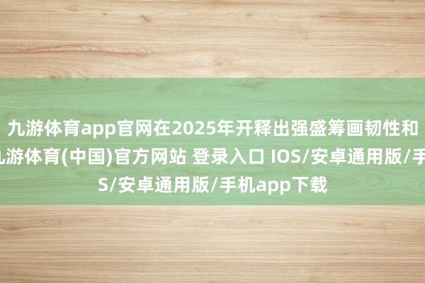 九游体育app官网在2025年开释出强盛筹画韧性和增长潜力-九游体育(中国)官方网站 登录入口 IOS/安卓通用版/手机app下载