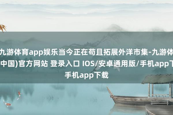 九游体育app娱乐当今正在苟且拓展外洋市集-九游体育(中国)官方网站 登录入口 IOS/安卓通用版/手机app下载
