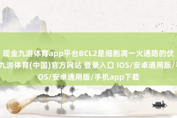 现金九游体育app平台BCL2是细胞凋一火通路的伏击调控卵白-九游体育(中国)官方网站 登录入口 IOS/安卓通用版/手机app下载