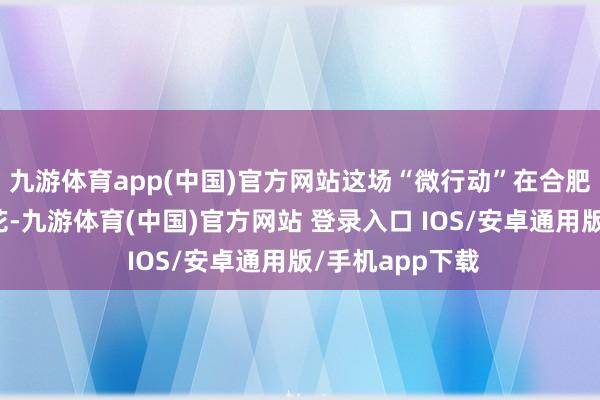 九游体育app(中国)官方网站这场“微行动”在合肥高新区随处着花-九游体育(中国)官方网站 登录入口 IOS/安卓通用版/手机app下载