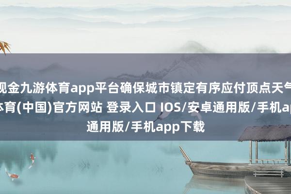 现金九游体育app平台确保城市镇定有序应付顶点天气-九游体育(中国)官方网站 登录入口 IOS/安卓通用版/手机app下载