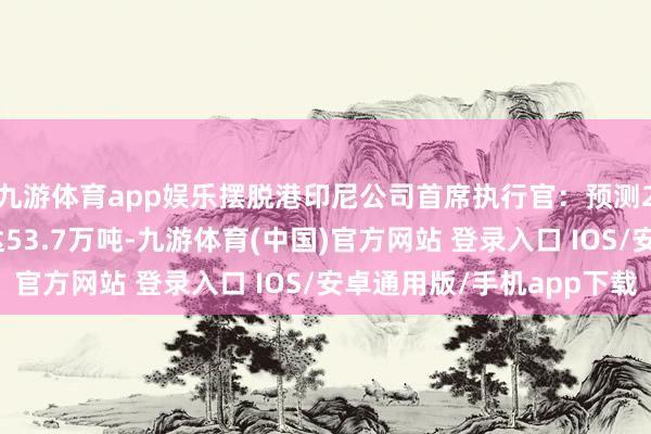 九游体育app娱乐摆脱港印尼公司首席执行官：预测2025年铜金属销量达53.7万吨-九游体育(中国)官方网站 登录入口 IOS/安卓通用版/手机app下载
